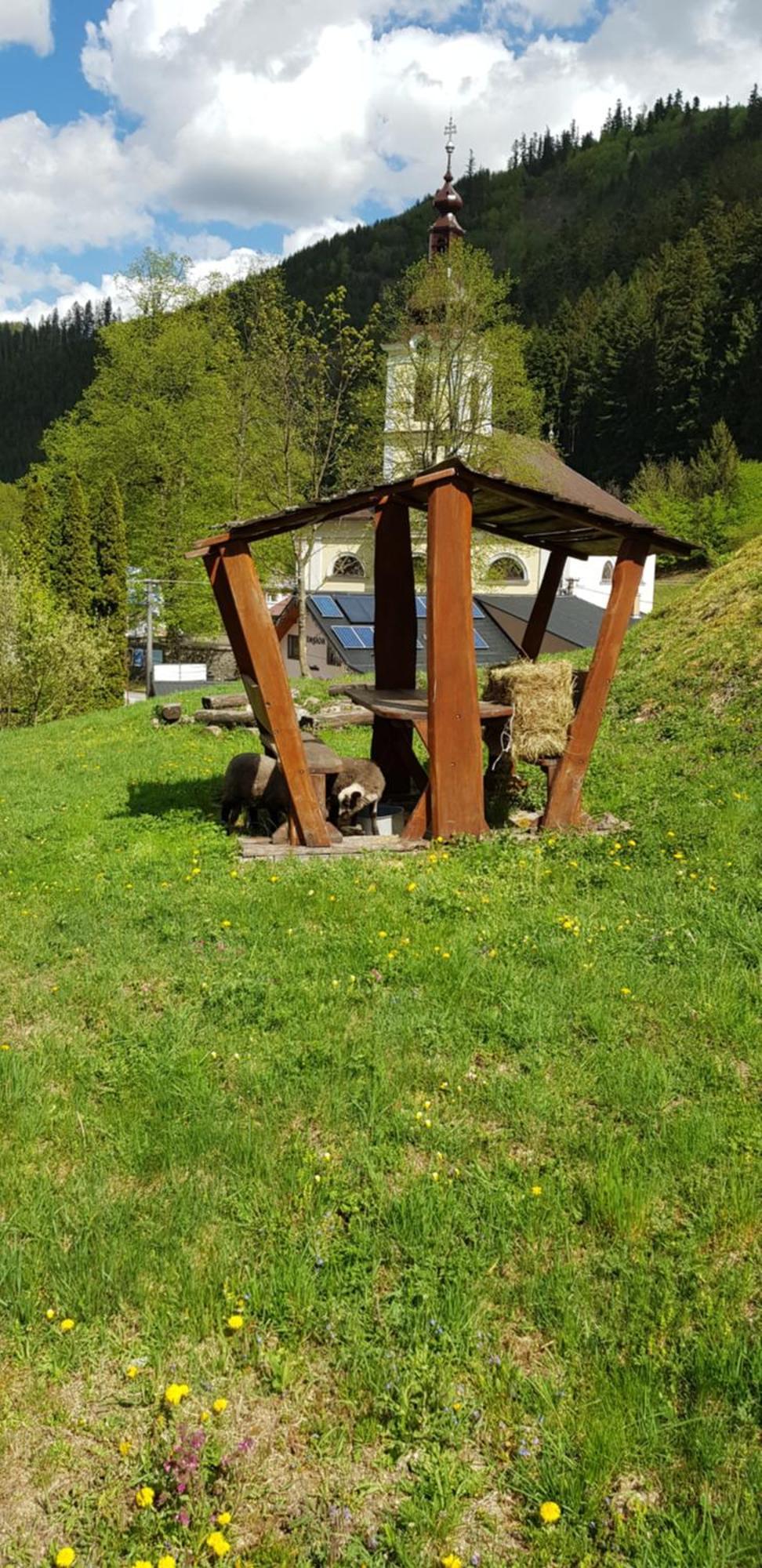 Pension St. Maria Staré Hory Exteriör bild